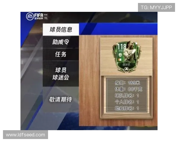 FIFA调整座位档次引发球迷强烈反应